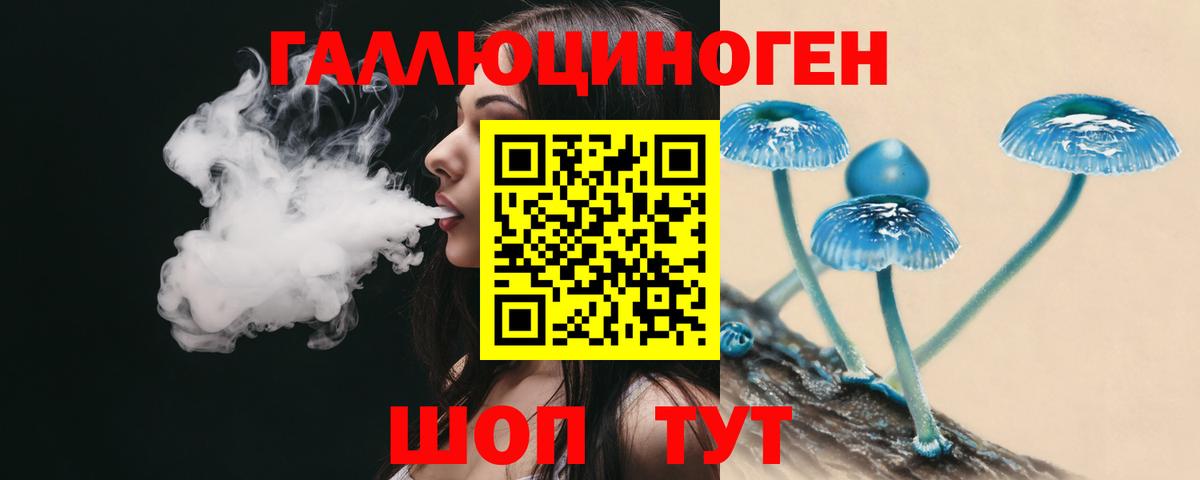 наркота  Вход с VPN  Кунгур  Псилоцибиновые грибы Psilocybe 